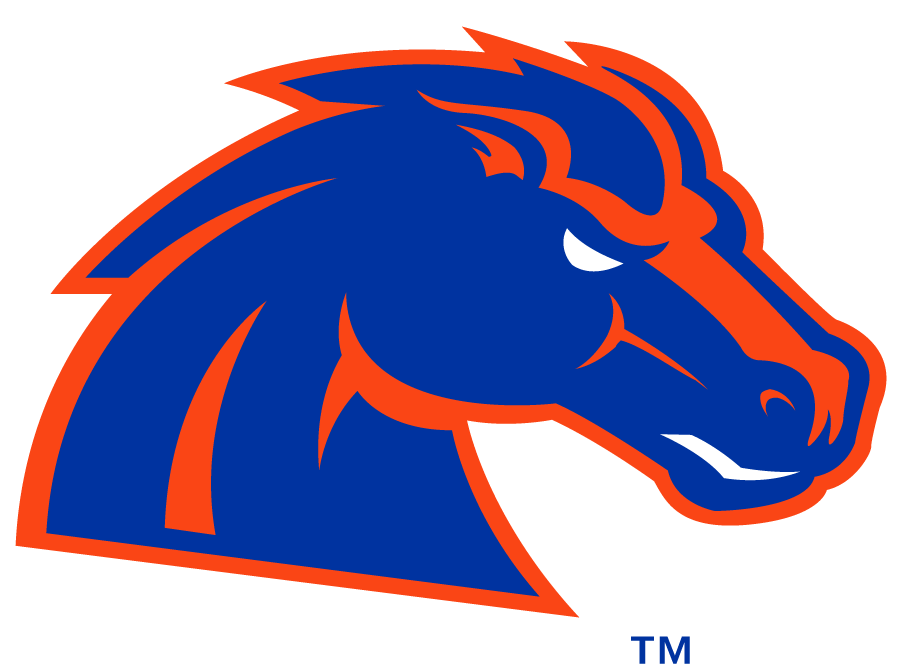 Boise State Bronco 2012-2013 Secondary Logo diy iron on heat transfer